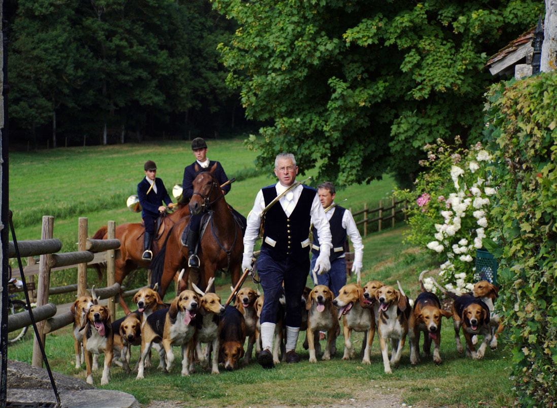 Photographie de la présentation de vènerie du Rallye Plaisance au Château de Montpoupon